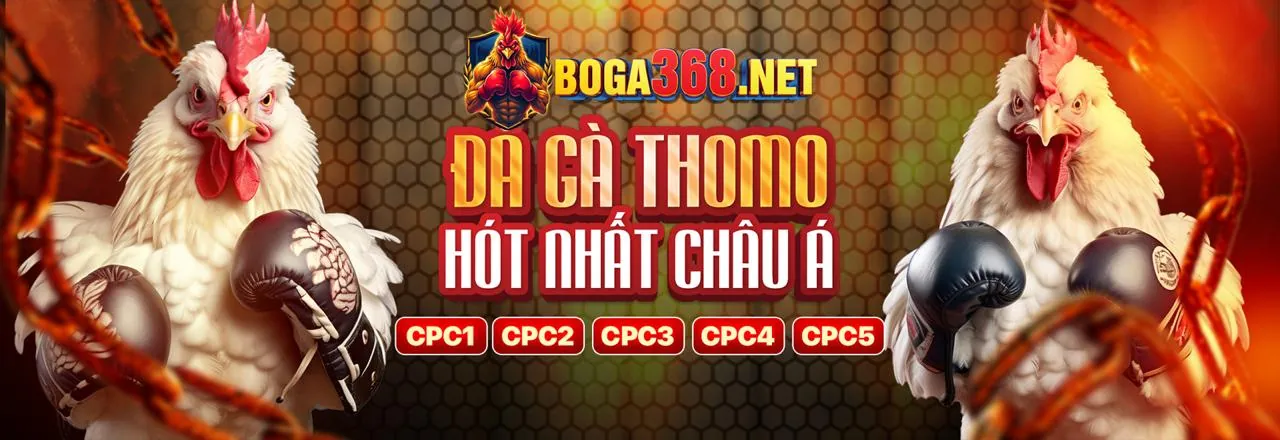 Đá Gà Trực Tuyến 98wim